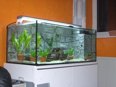 Hoe maak je een multilevel aquarium te bouwen. De lengte van de tank moet onder maatregel 2 meter breed.